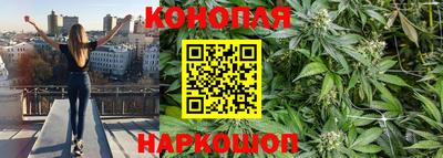 гашик Пенза