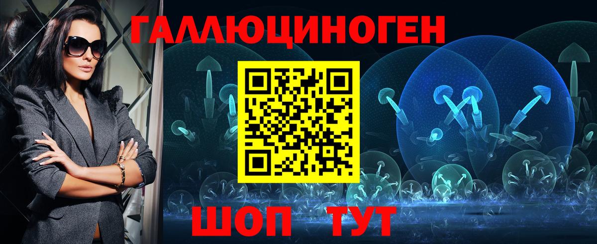 Псилоцибиновые грибы Psilocybe Строитель